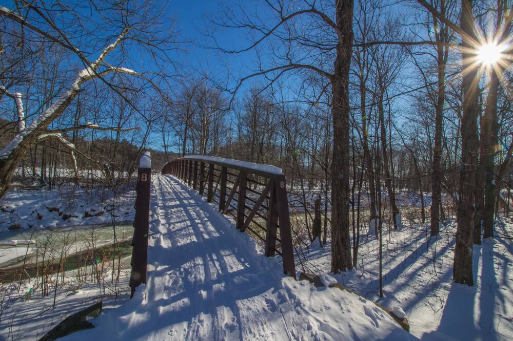 Photo of Others in Stowe Hollow