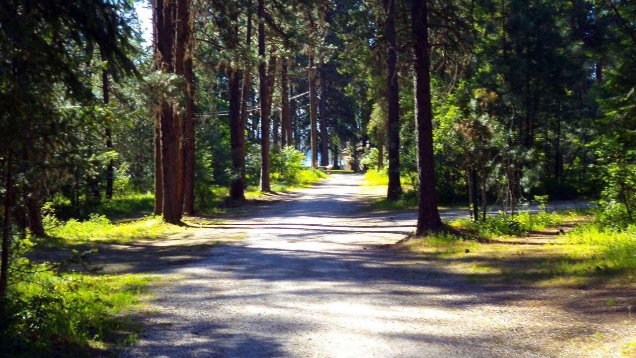 Photo of Outdoor in Loon Lake