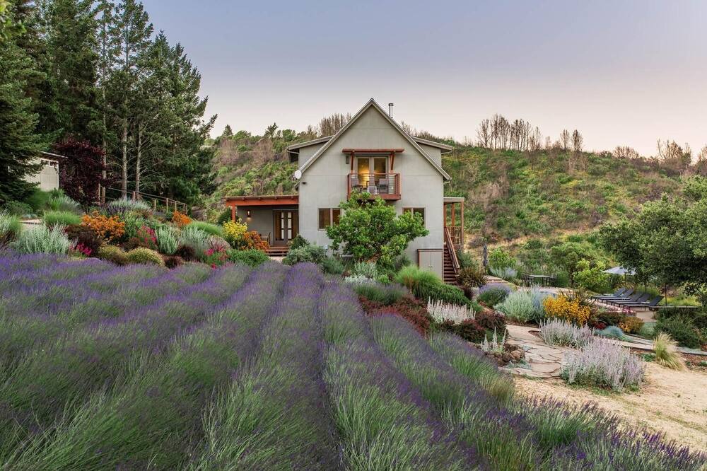 Photo of Outdoor in Glen Ellen