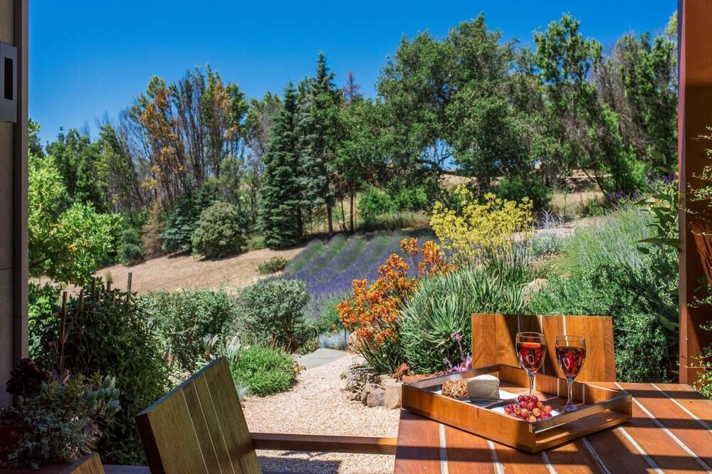 Photo of Others in Glen Ellen