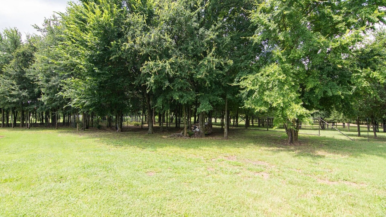 Photo of Outdoor in Pilot Point