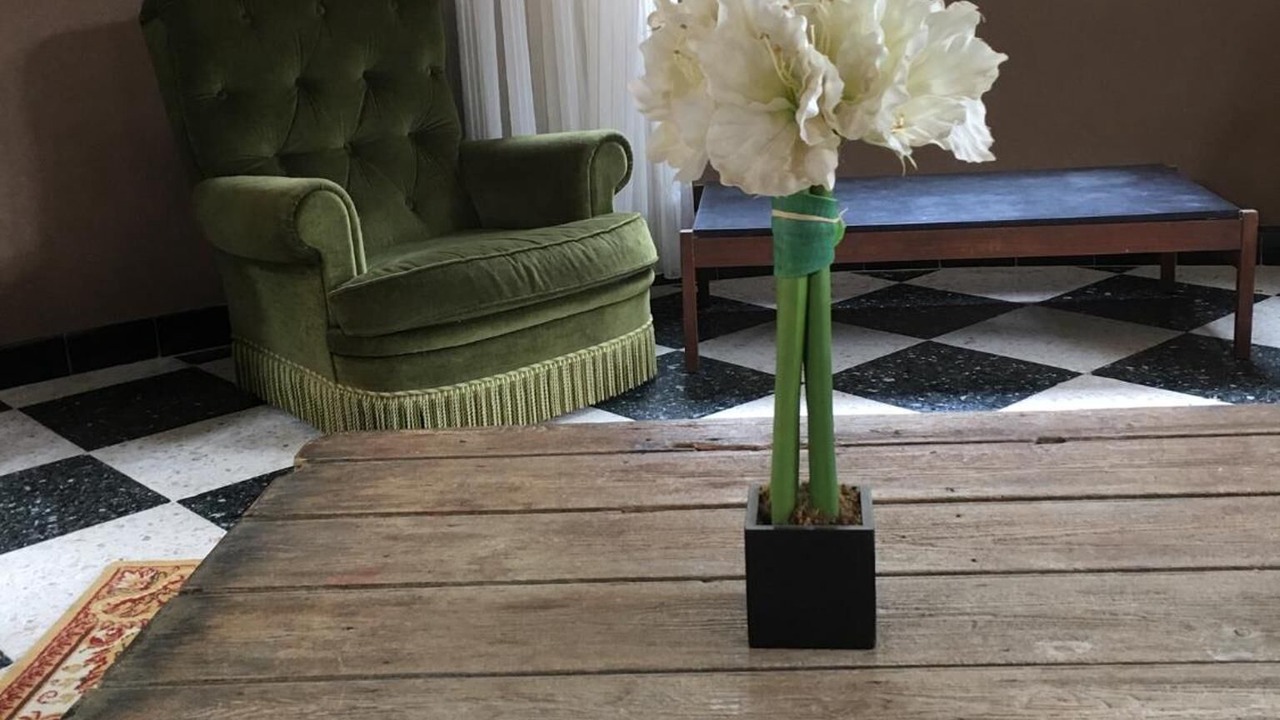 Photo of Others in Les Bains de la Preste