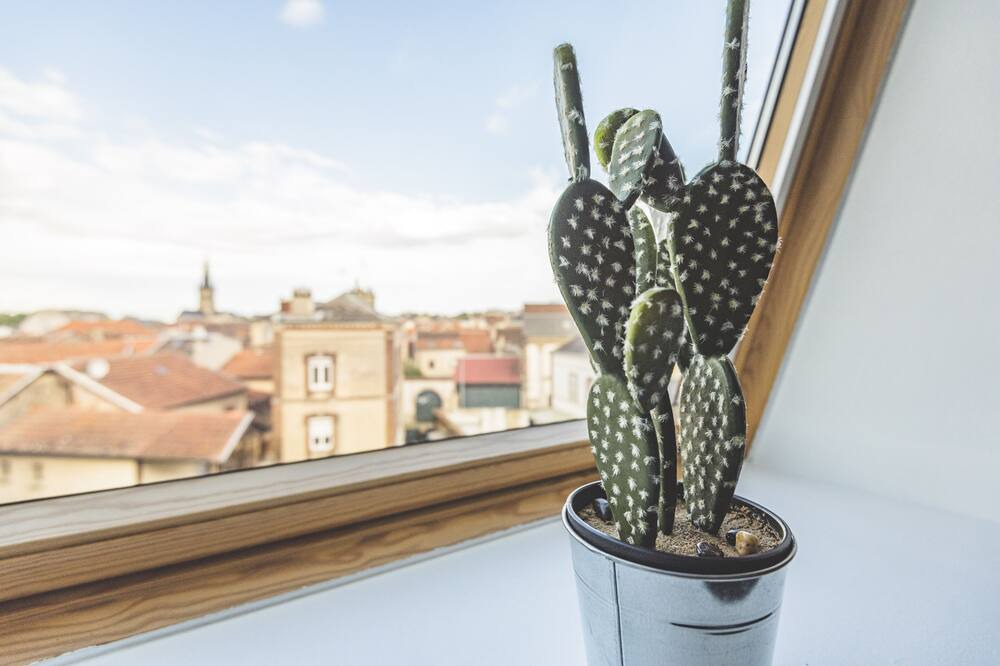 Photo of Bedroom in Epernay