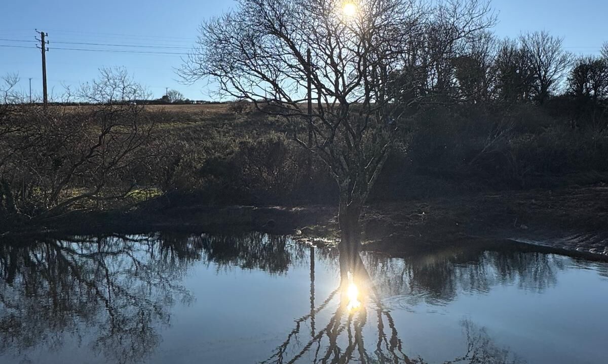 Photo of Outdoor in Leedstown