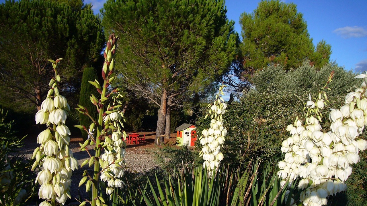 Photo of Outdoor in Saint-Jean-de-Fos