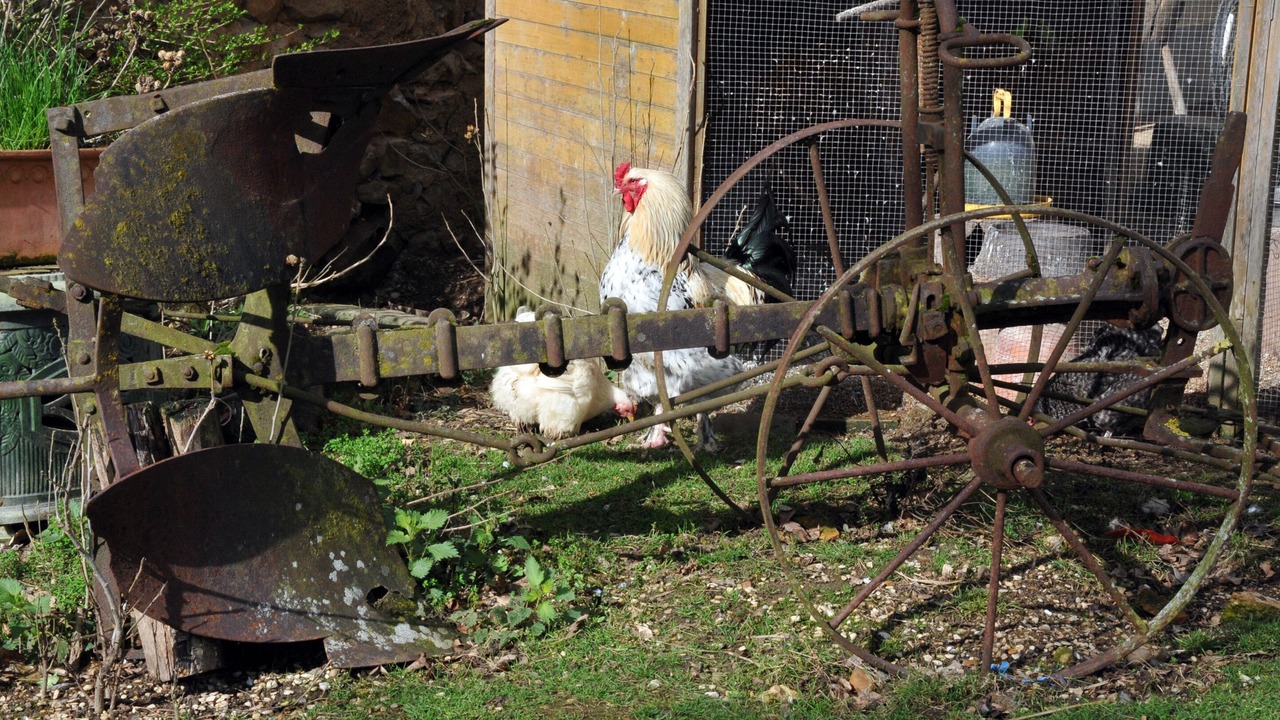 Photo of Outdoor in Evry