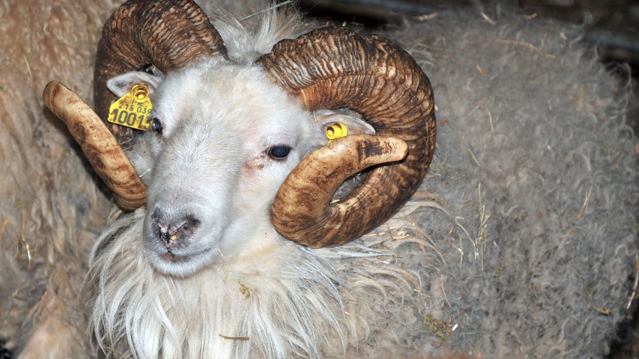 Photo of Others in Evry