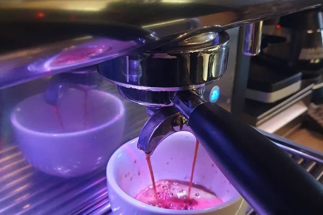 Photo of Others in Falkland