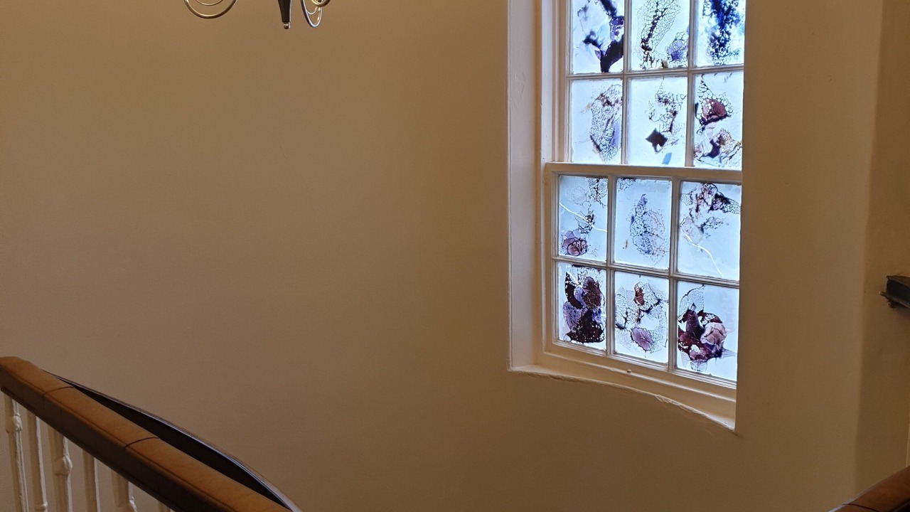 Photo of Others in Falkland