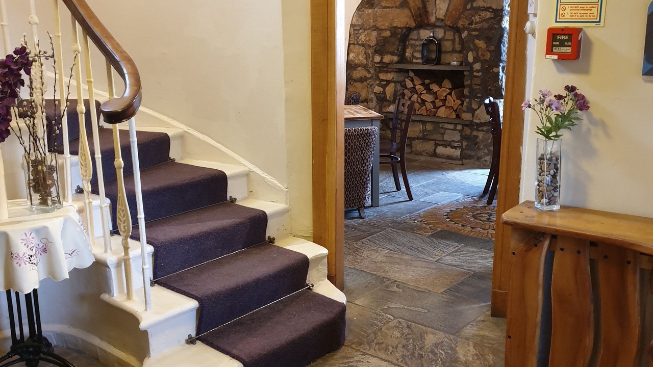 Photo of Others in Falkland