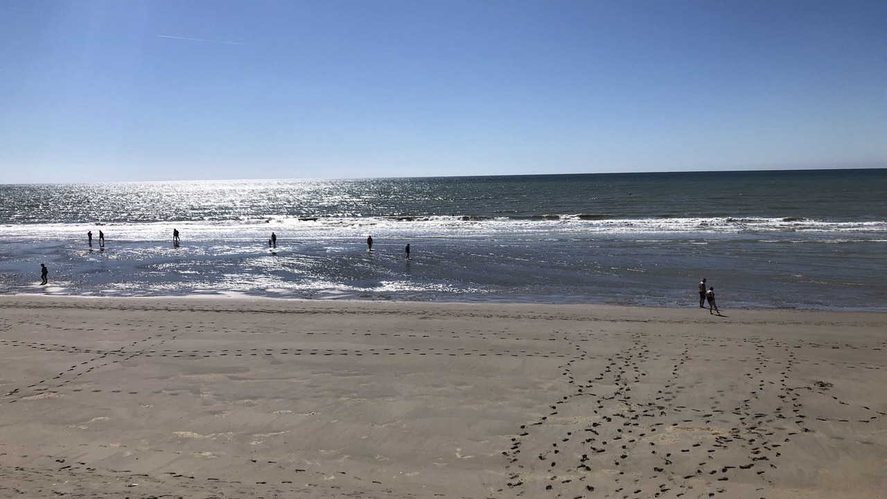 Photo of Others in Quend-Plage-les-Pins