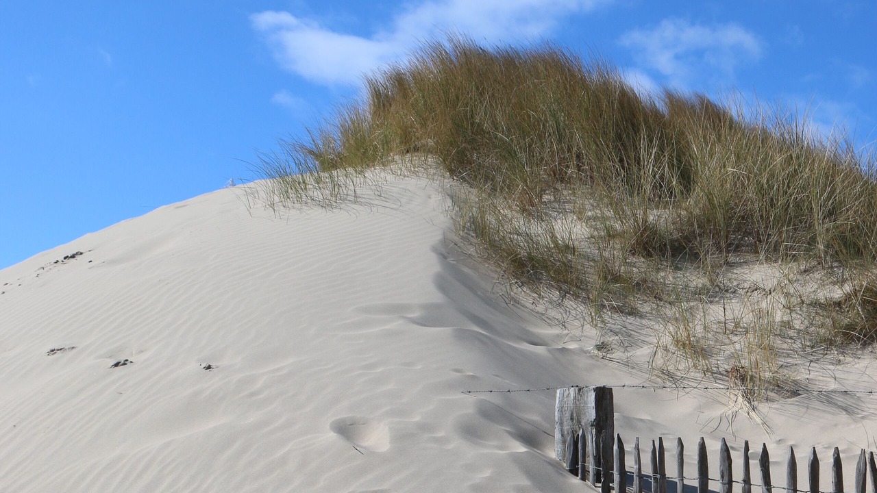 Photo of Others in Quend-Plage-les-Pins