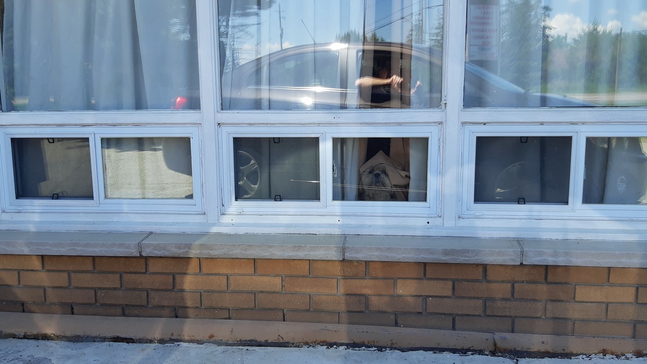 Photo of Others in Sault Ste. Marie