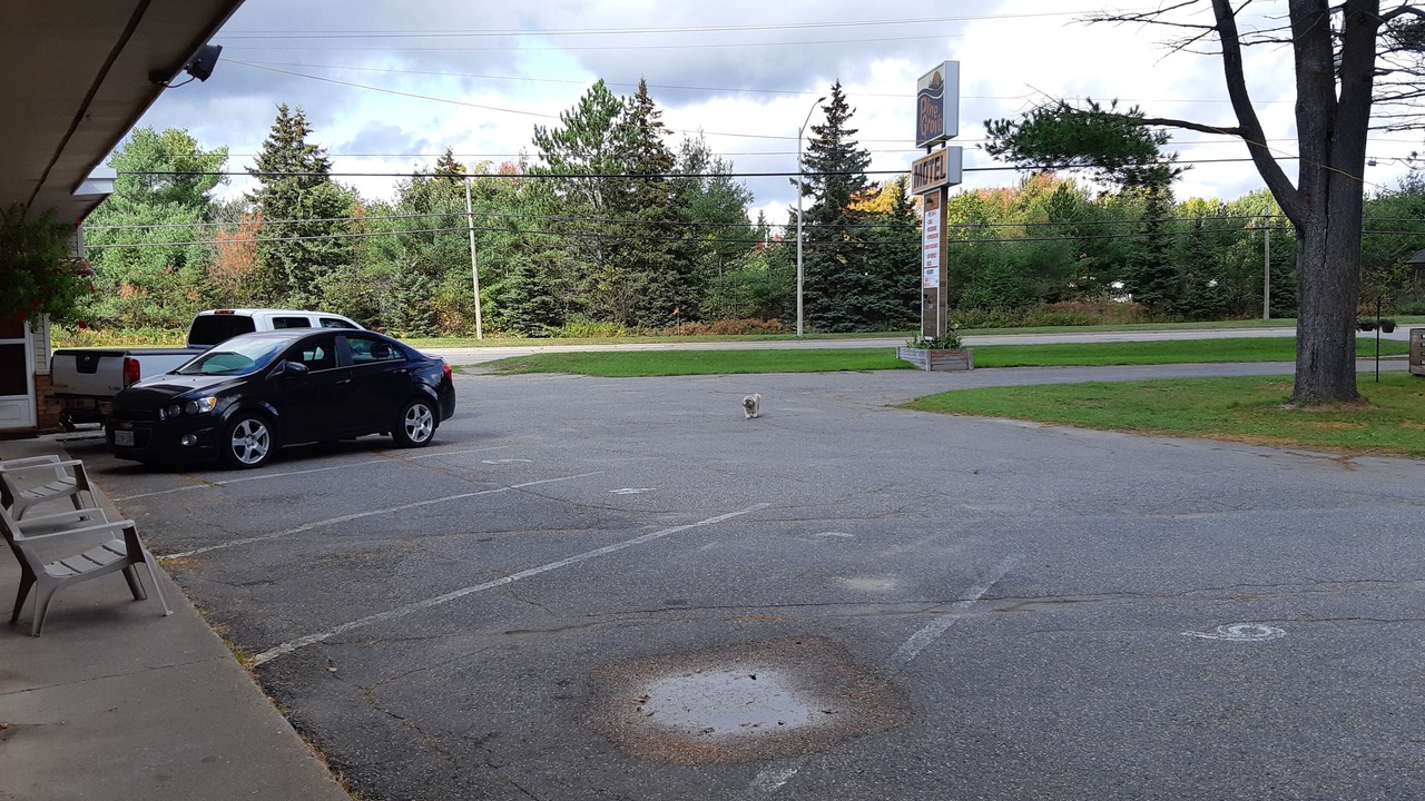 Photo of Others in Sault Ste. Marie