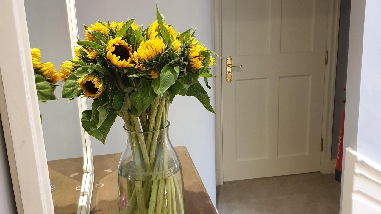 Photo of Others in York