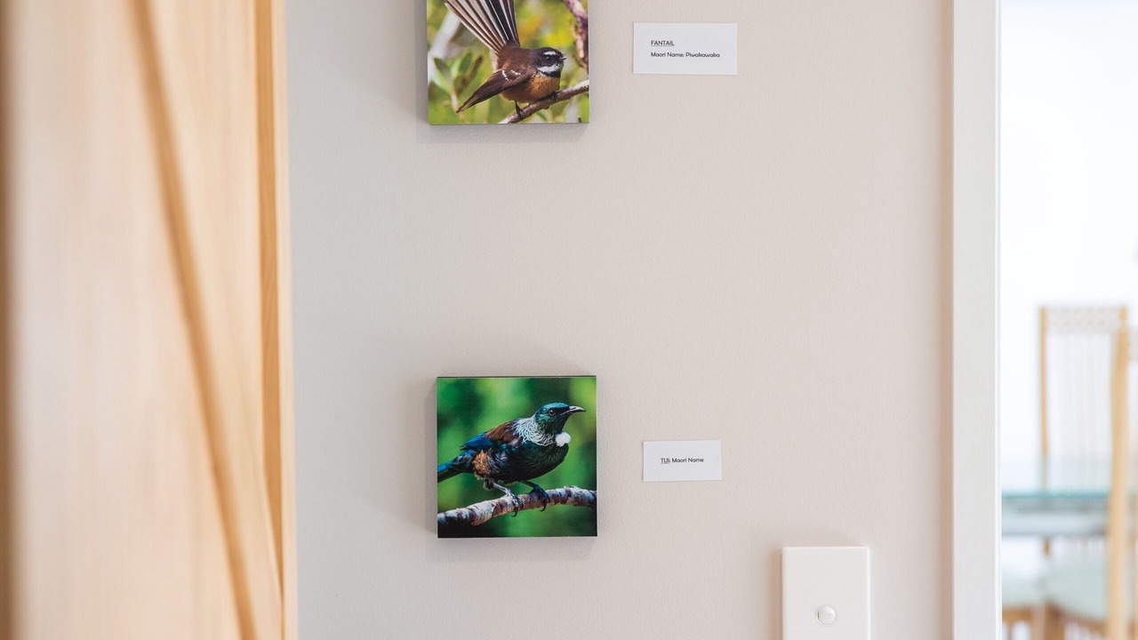 Photo of Others in Bucklands Beach