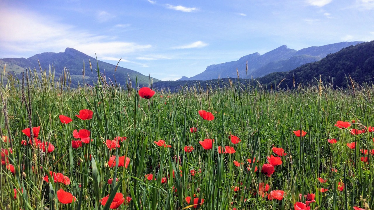 Photo of Outdoor in Entre-deux-Guiers