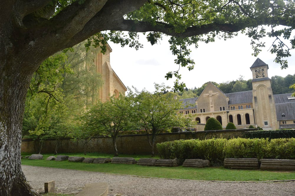 Photo of Others in Brandeville