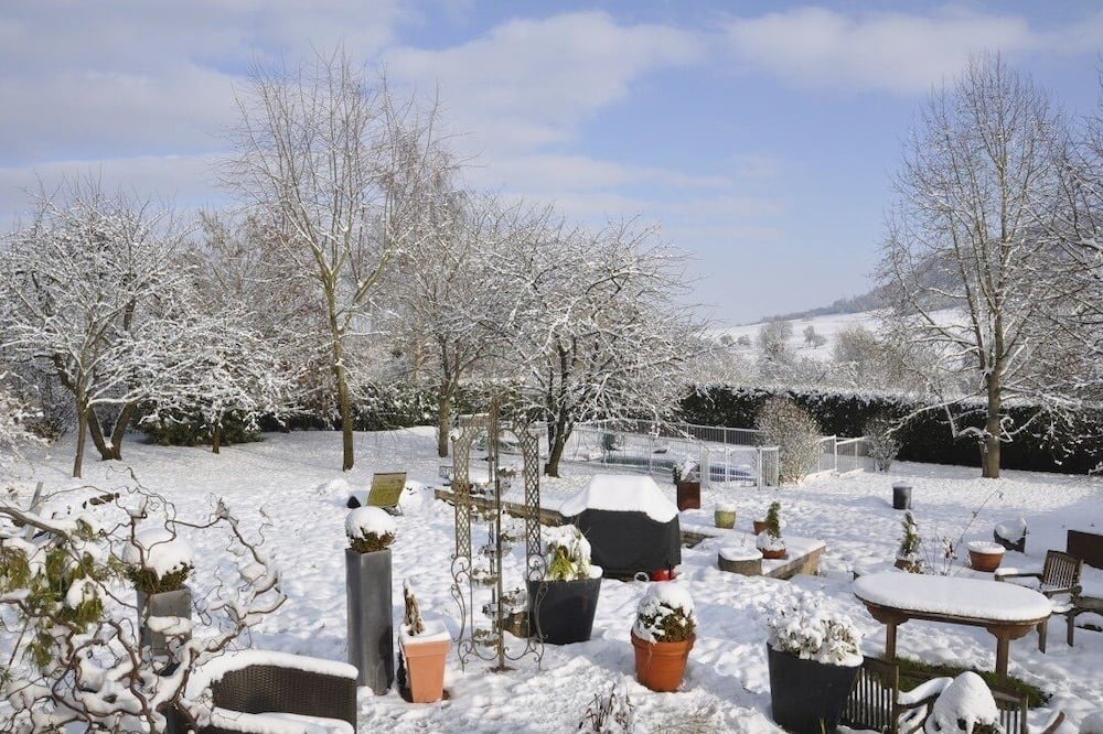 Photo of Outdoor in Brandeville