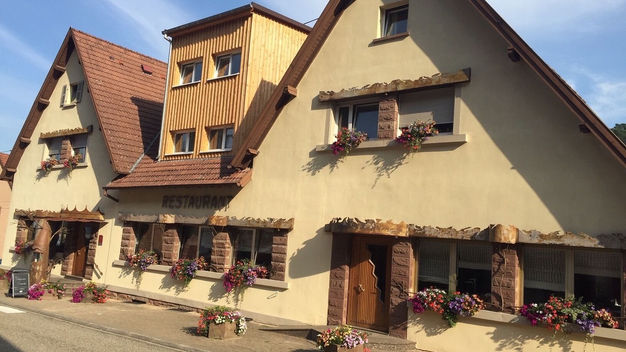 Photo of Outdoor in Reipertswiller