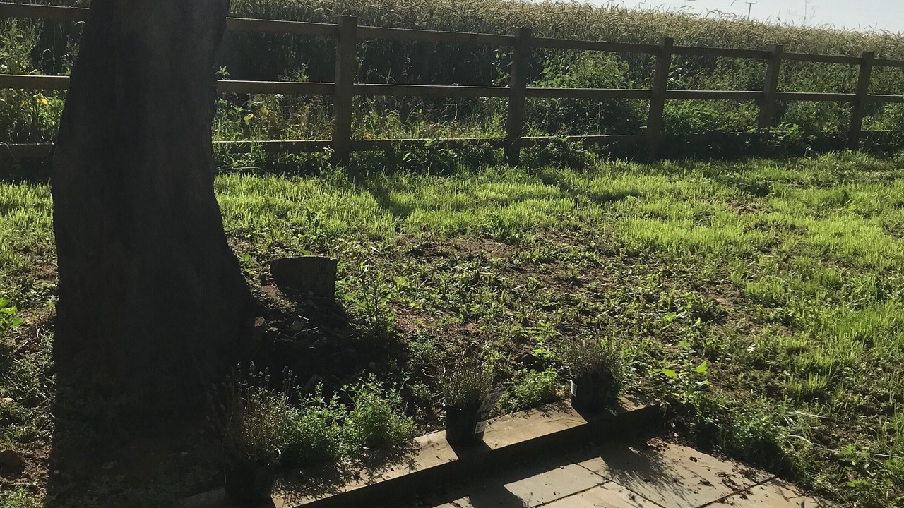 Photo of Others in Sudbourne