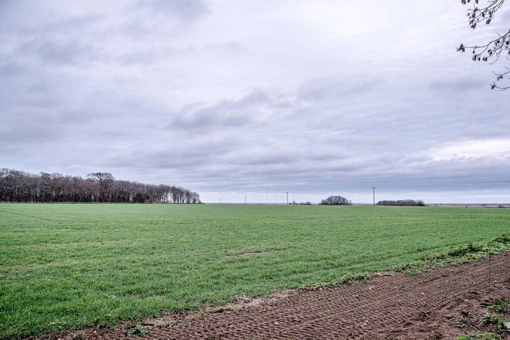 Photo of Outdoor in Sudbourne