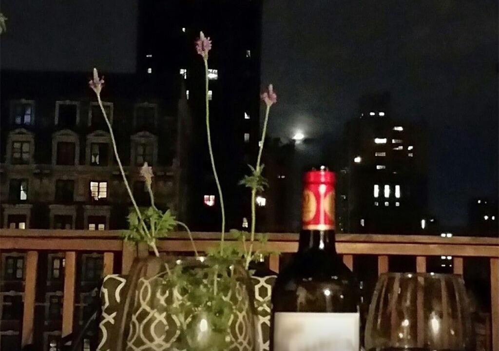 Photo of Outdoor in Upper West Side