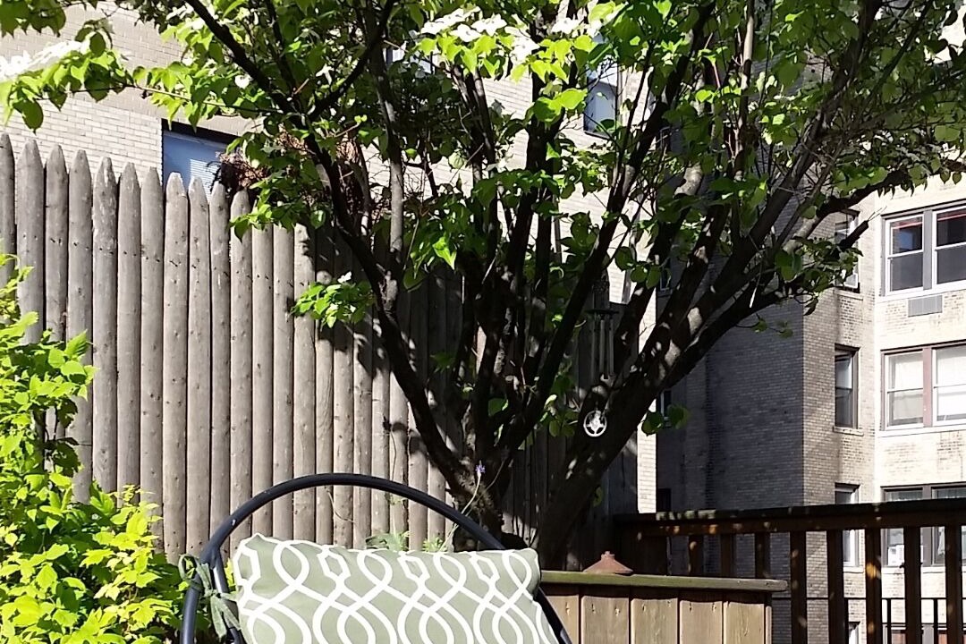 Photo of Outdoor in Upper West Side