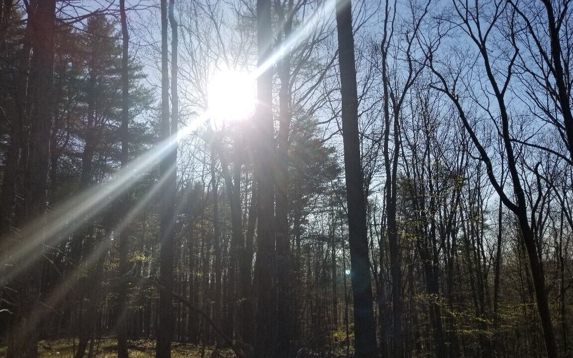 Photo of Others in Glenford