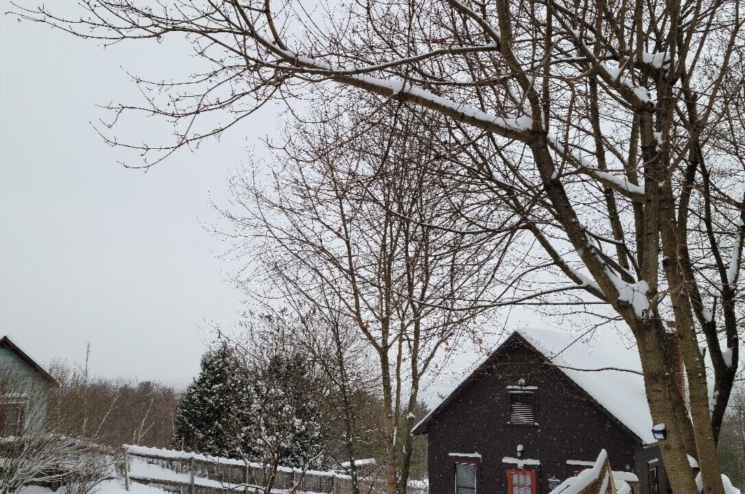 Photo of Outdoor in Glenford