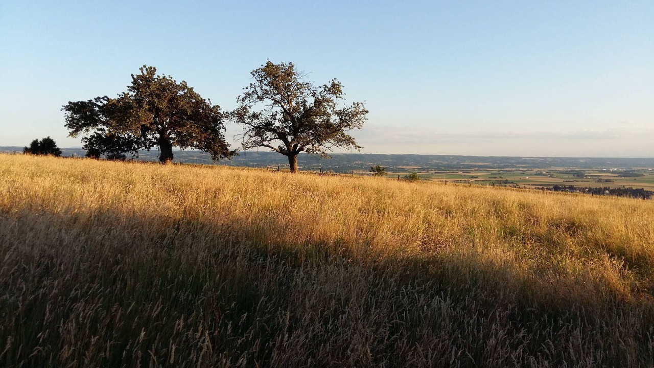 Photo of Outdoor in Gillonnay