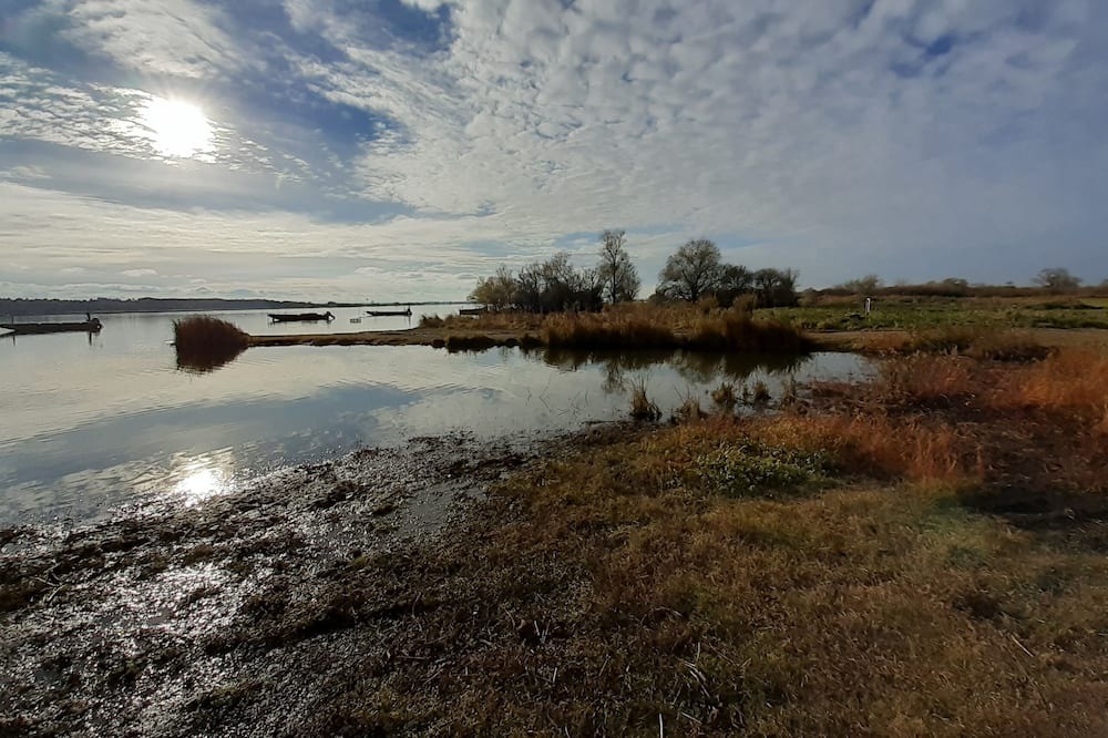 Photo of Others in La Chevroliere