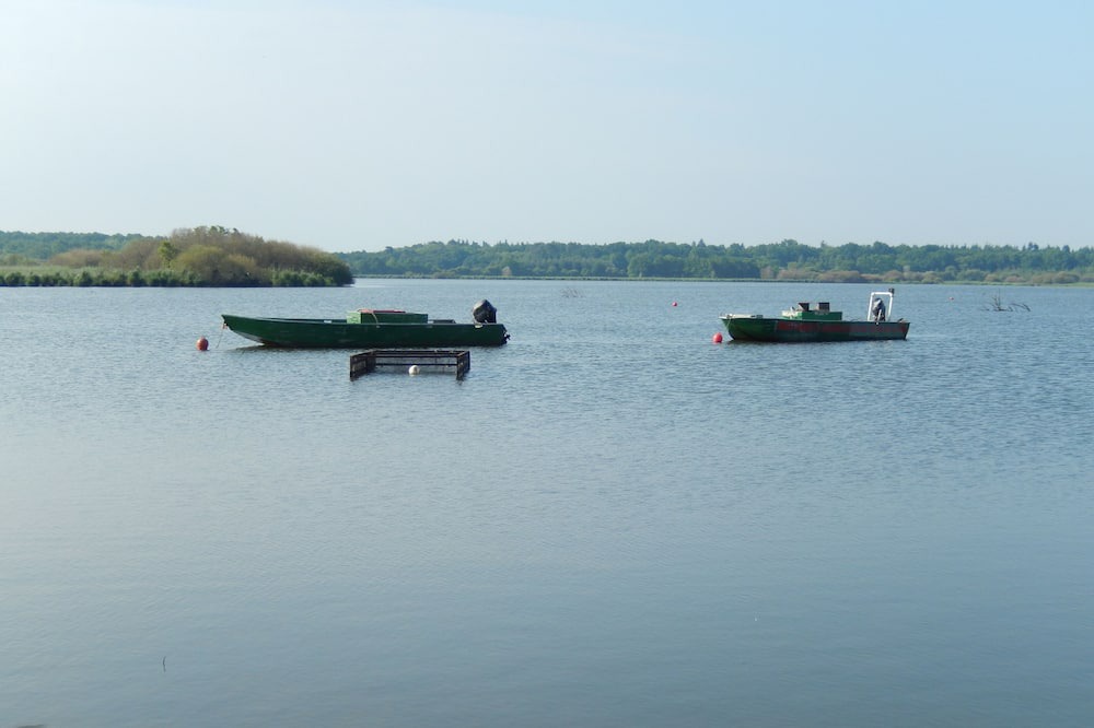 Photo of Others in La Chevroliere