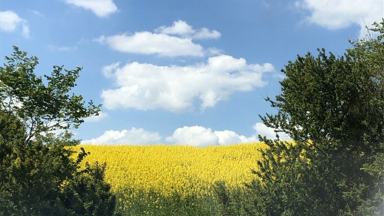 Photo of Outdoor in Nykobing Mors