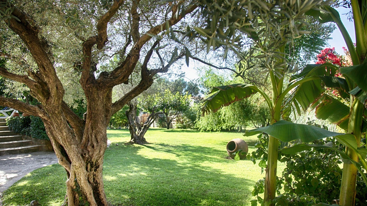 Photo of Bedroom in Carpentras