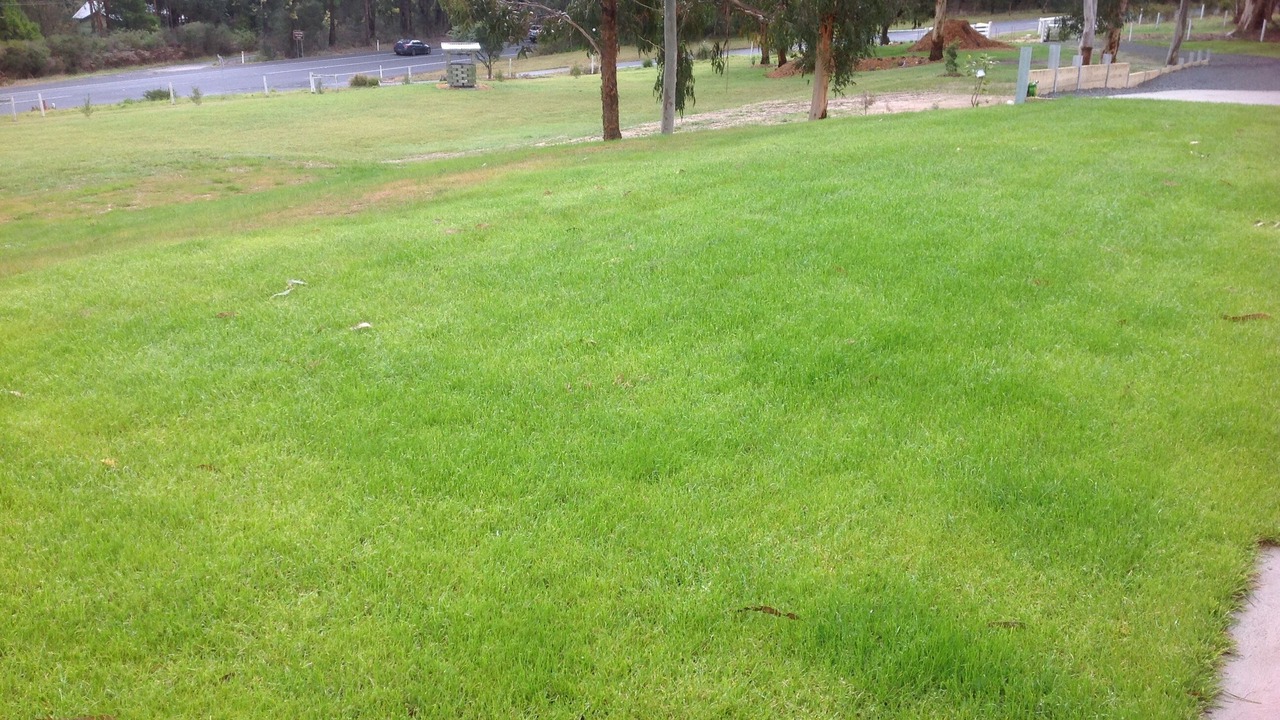 Photo of Others in Mirboo North