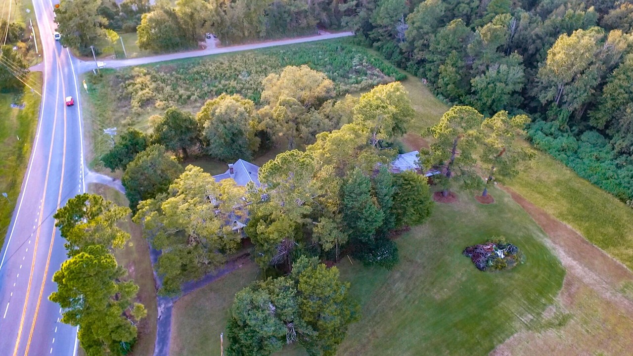 Photo of Outdoor in Longs