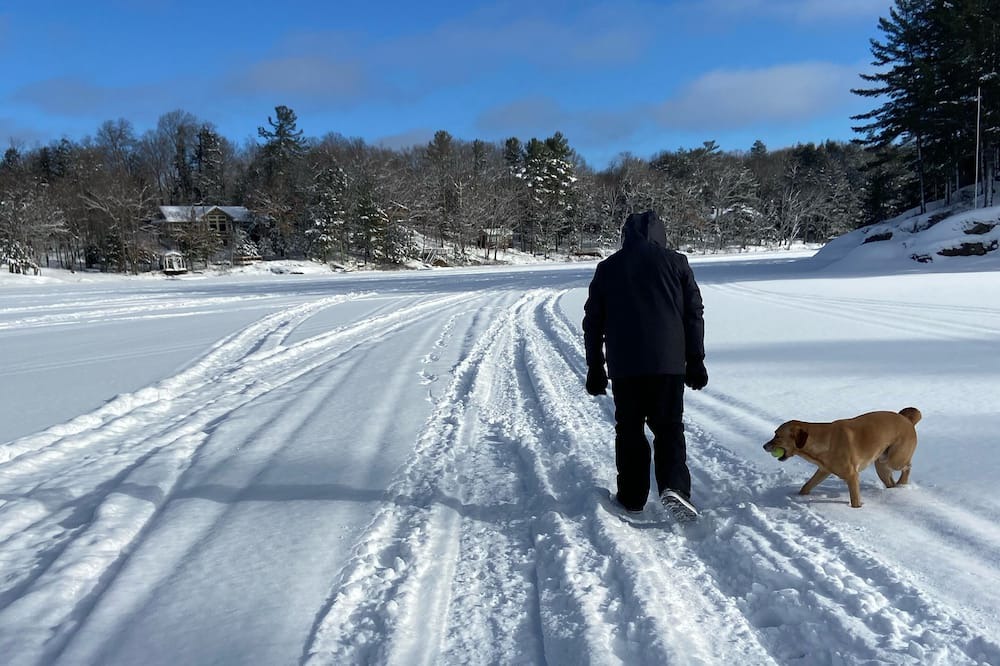 Photo of Others in Muskoka Lakes