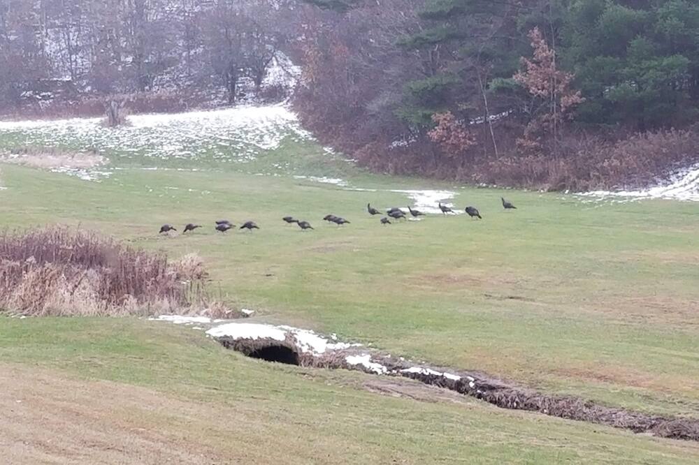 Photo of Outdoor in Monroe County