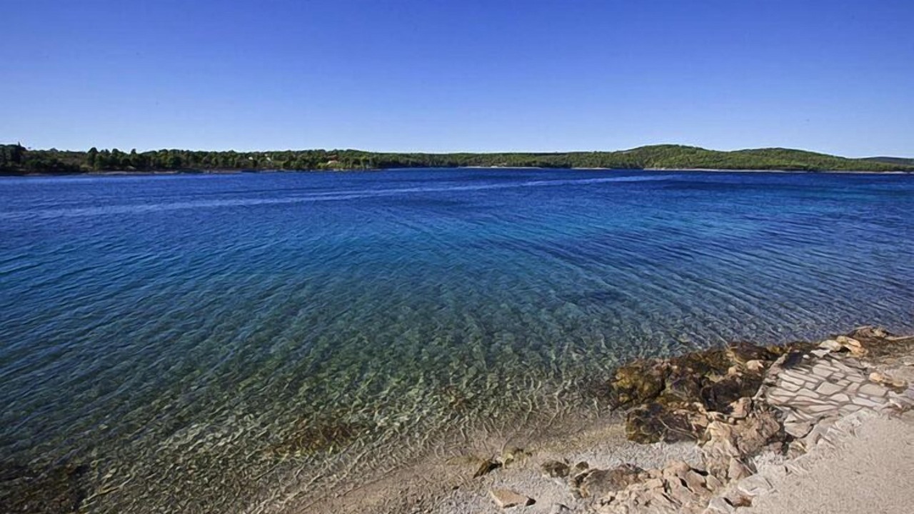 Photo of Others in Cove Makarac (Milna)