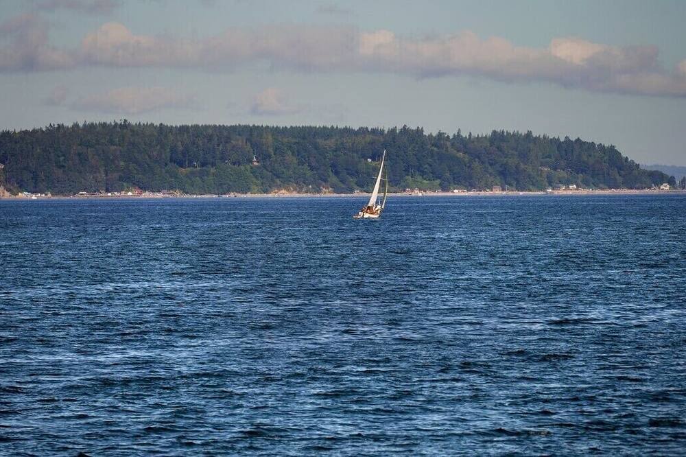 Photo of Others in Everett