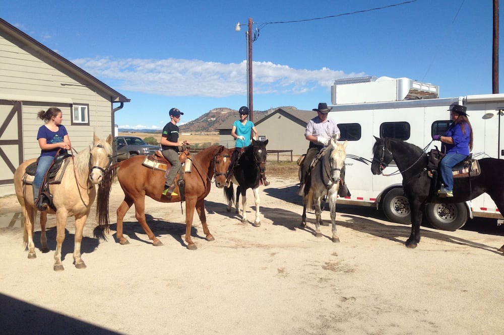 Photo of Others in Larkspur