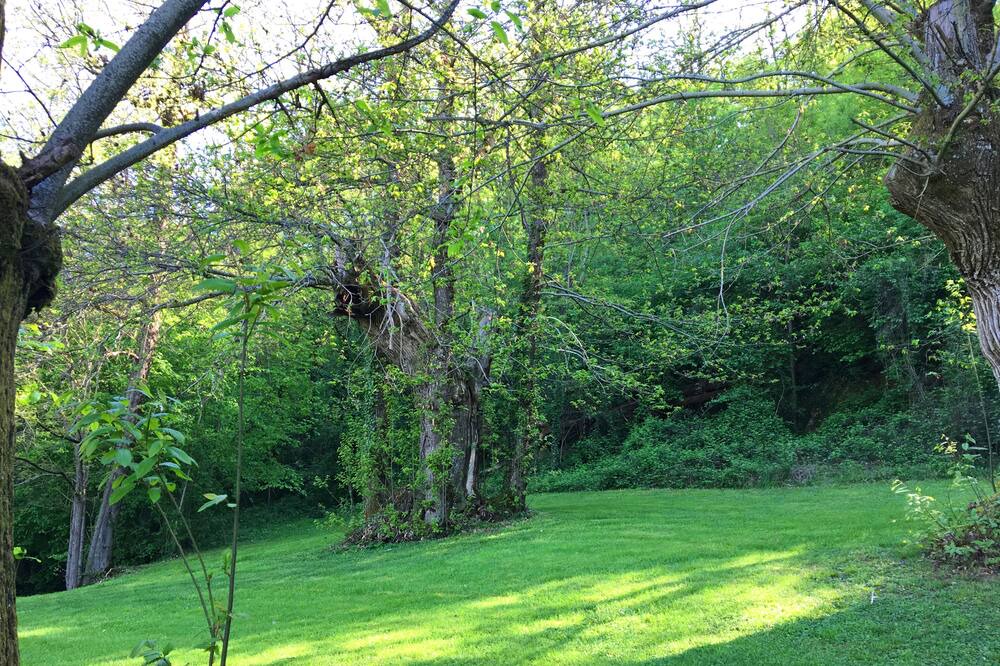 Photo of Outdoor in Saint-Remy
