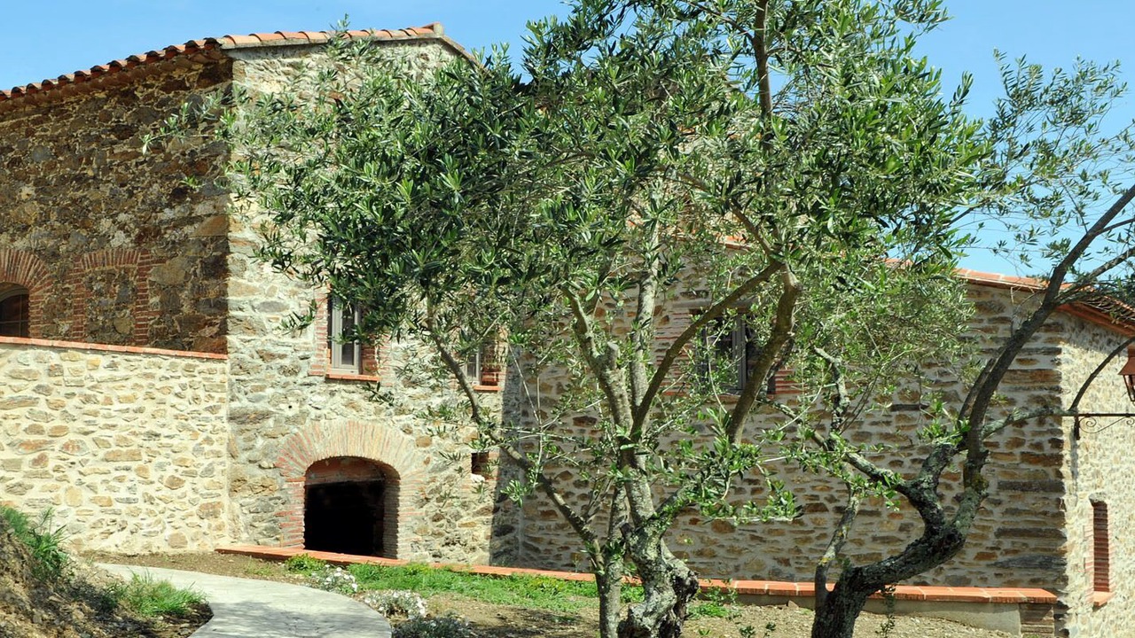 Photo of Outdoor in Oms