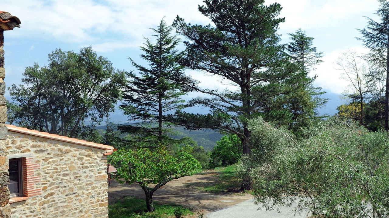 Photo of Outdoor in Oms