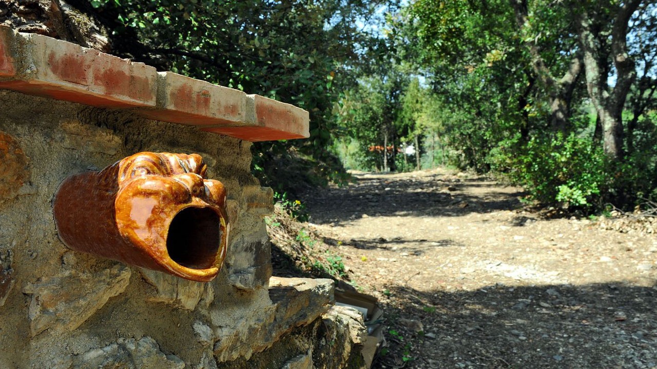 Photo of Outdoor in Oms