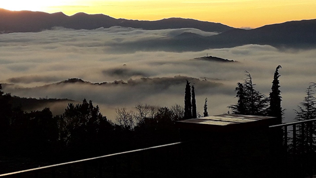 Photo of Others in Oms