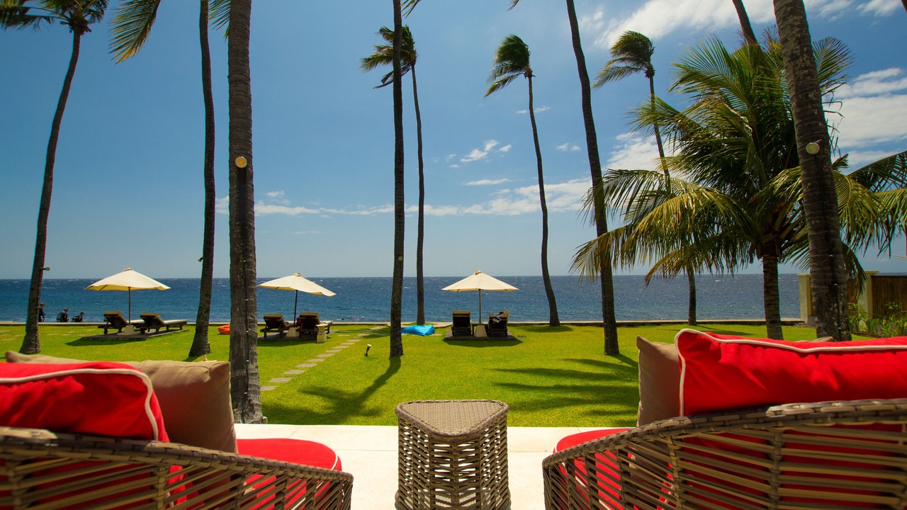 Photo of Others in Kubu