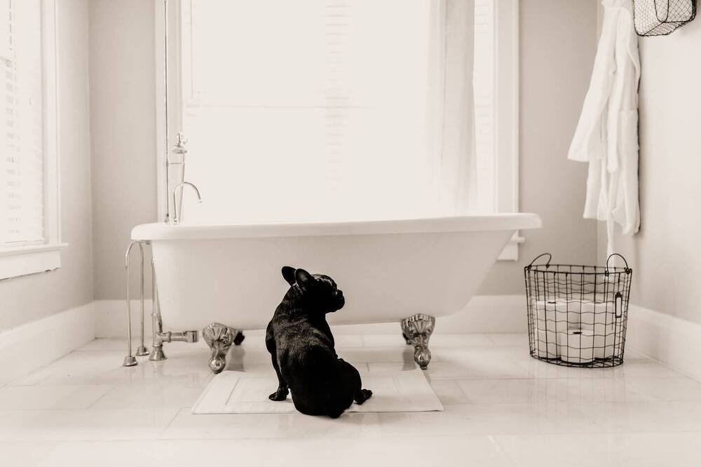 Photo of Bathroom in South Seminole Heights