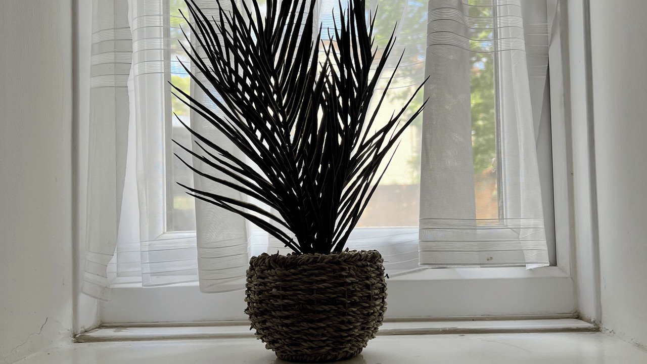 Photo of Others in Alperton